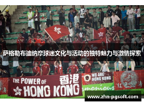 萨格勒布迪纳摩球迷文化与活动的独特魅力与激情探索