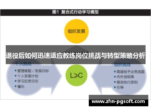 退役后如何迅速适应教练岗位挑战与转型策略分析