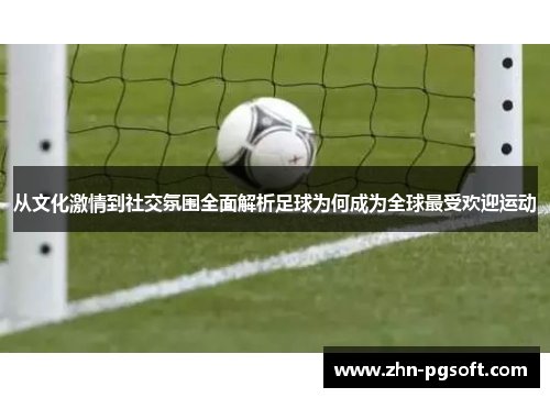 从文化激情到社交氛围全面解析足球为何成为全球最受欢迎运动