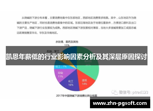 凯恩年薪低的行业影响因素分析及其深层原因探讨