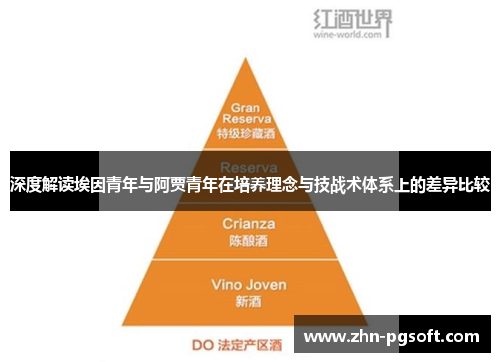 深度解读埃因青年与阿贾青年在培养理念与技战术体系上的差异比较